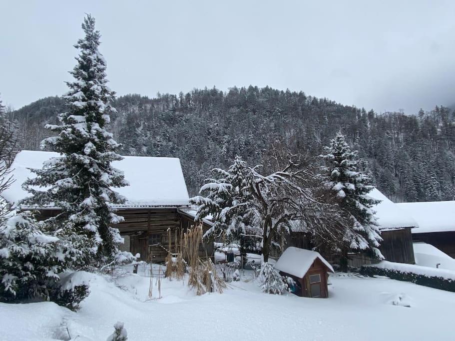 Panorama Wohnung Rungelin Bludenz エクステリア 写真